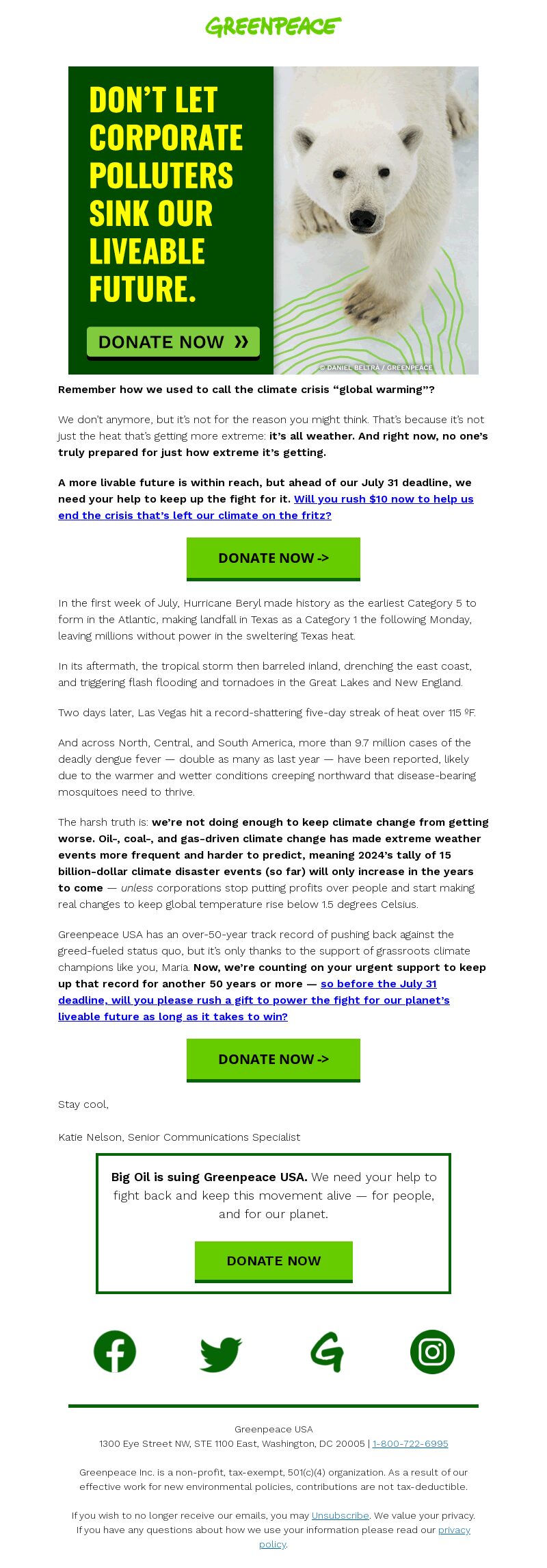 Greenpeace USA, Greenpeace Day email marketing campaign.