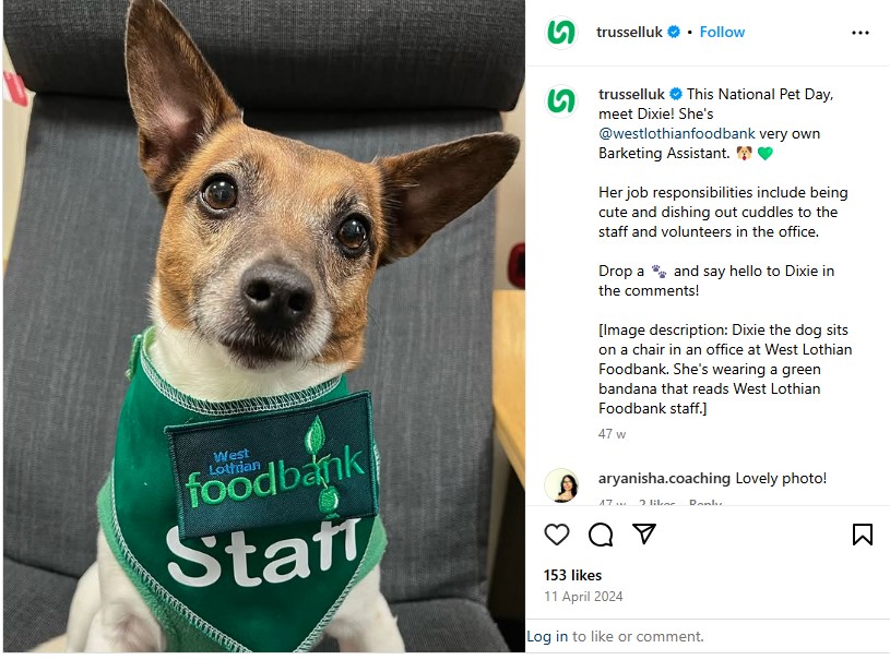 Trussell UK, National Pet Day social media campaign.